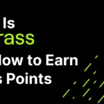 What Is Grass.io and How to Earn Points for a Potential Airdrop