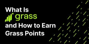 What Is Grass.io and How to Earn Points for a Potential Airdrop